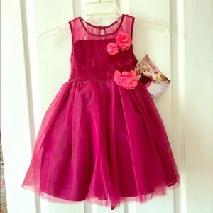 Adorable velvet mesh Nannette Girl dress